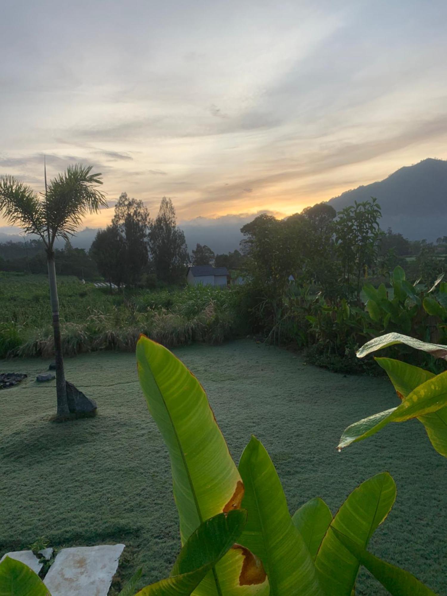 Hotel Bali Lesung Kintamani Exterior foto